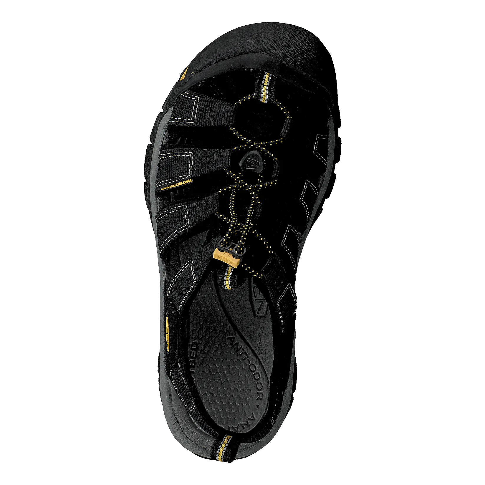 Newport H2 Black
