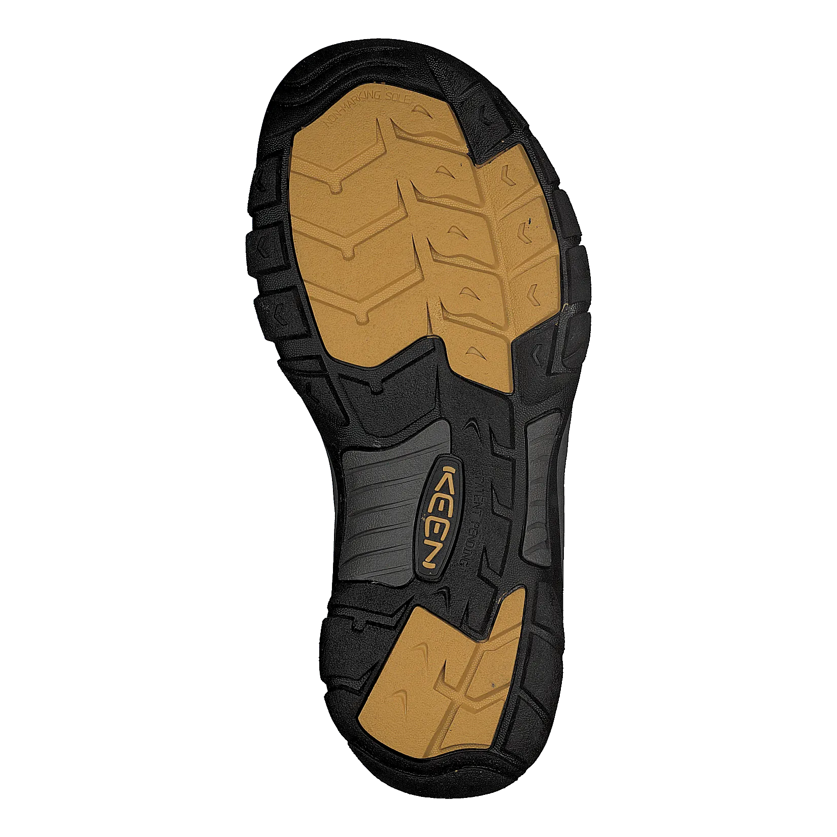 Newport H2 Black