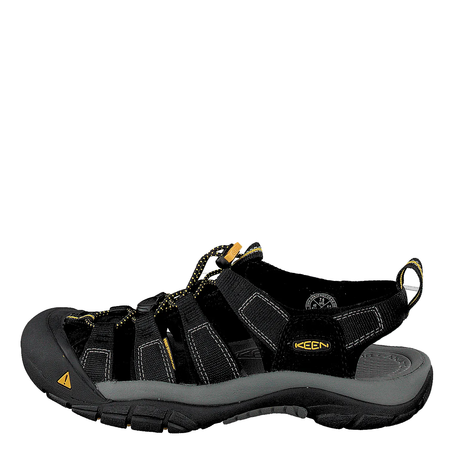 Newport H2 Black
