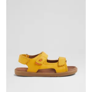 Strand - Kid  - Daffodil