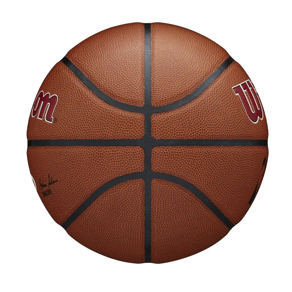 WILSON NBA TEAM COMPOSITE MIAMI HEAT